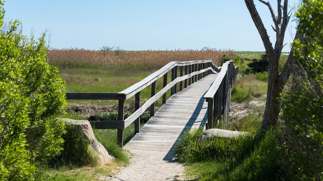 Photo of Outdoor in East Orleans