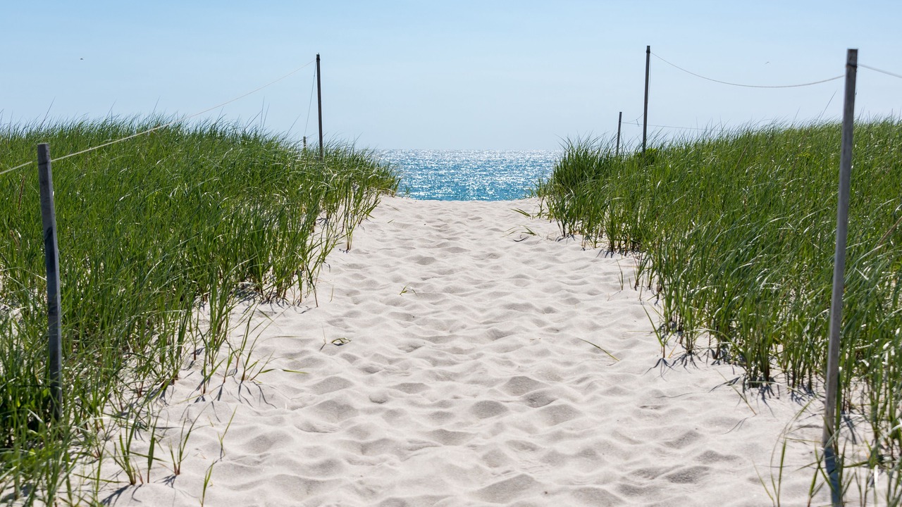 Photo of Others in East Orleans