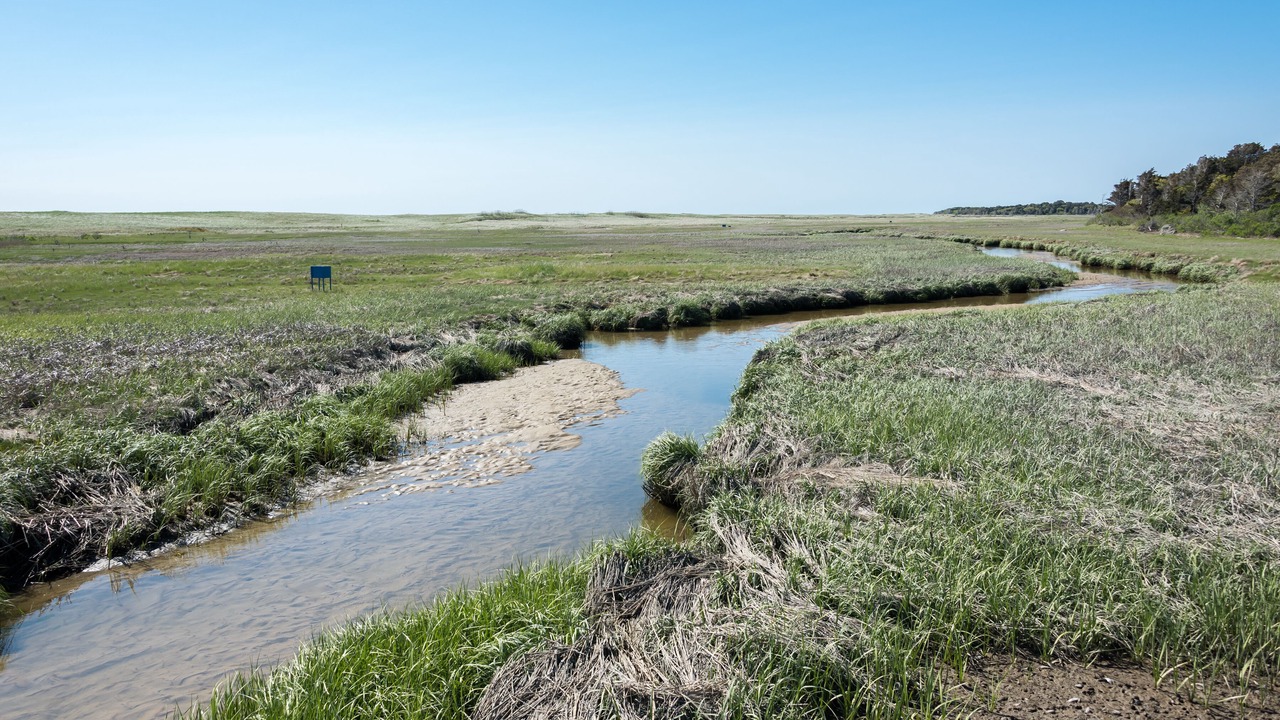 Photo of Outdoor in East Orleans