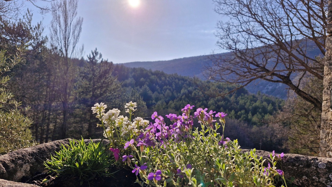 Photo of Others in Aurel