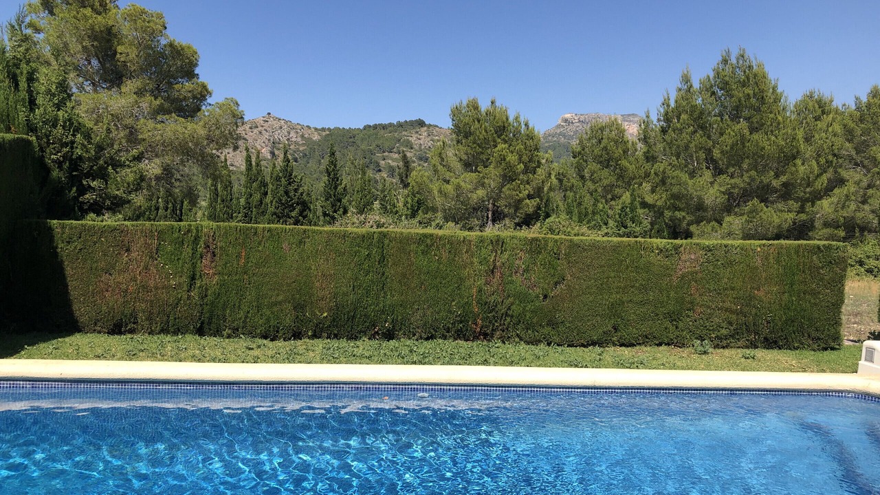 Photo of Outdoor in Pedreguer