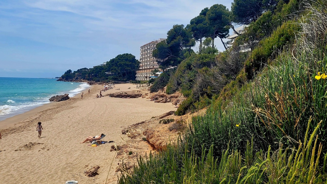 Photo of Others in Miami Platja