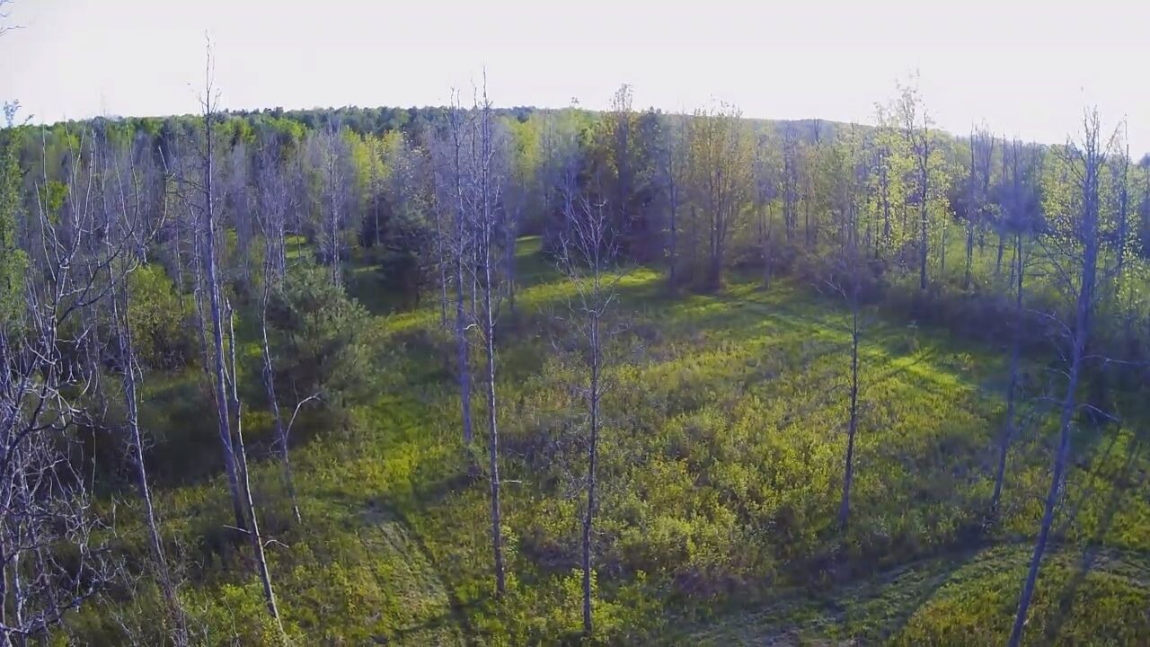 Photo of Outdoor in Town of Root