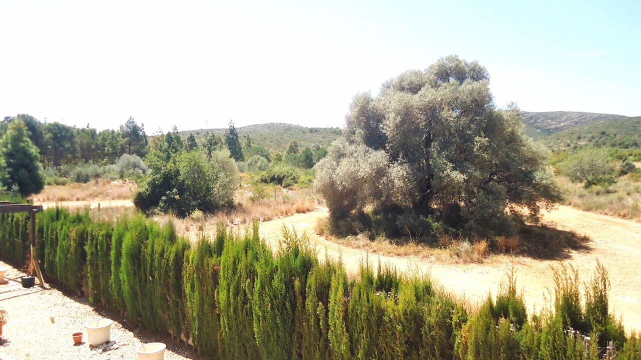 Photo of Outdoor in Peniscola