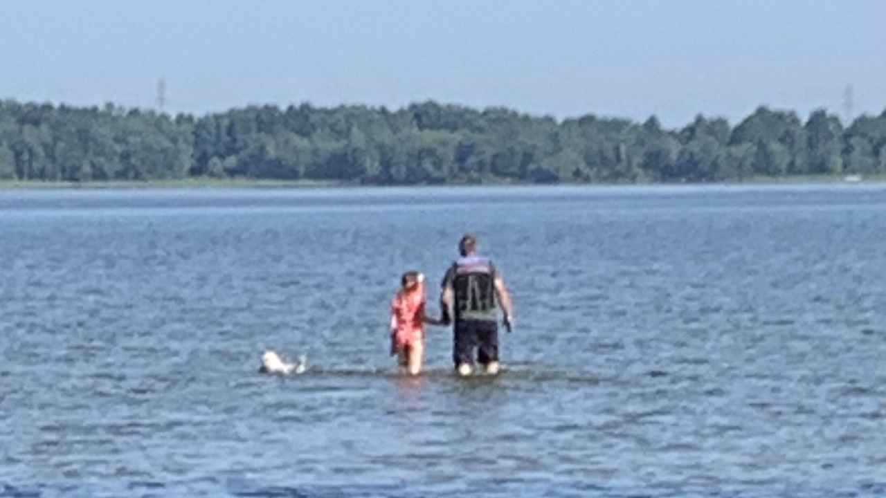 Photo of Others in Bass Lake