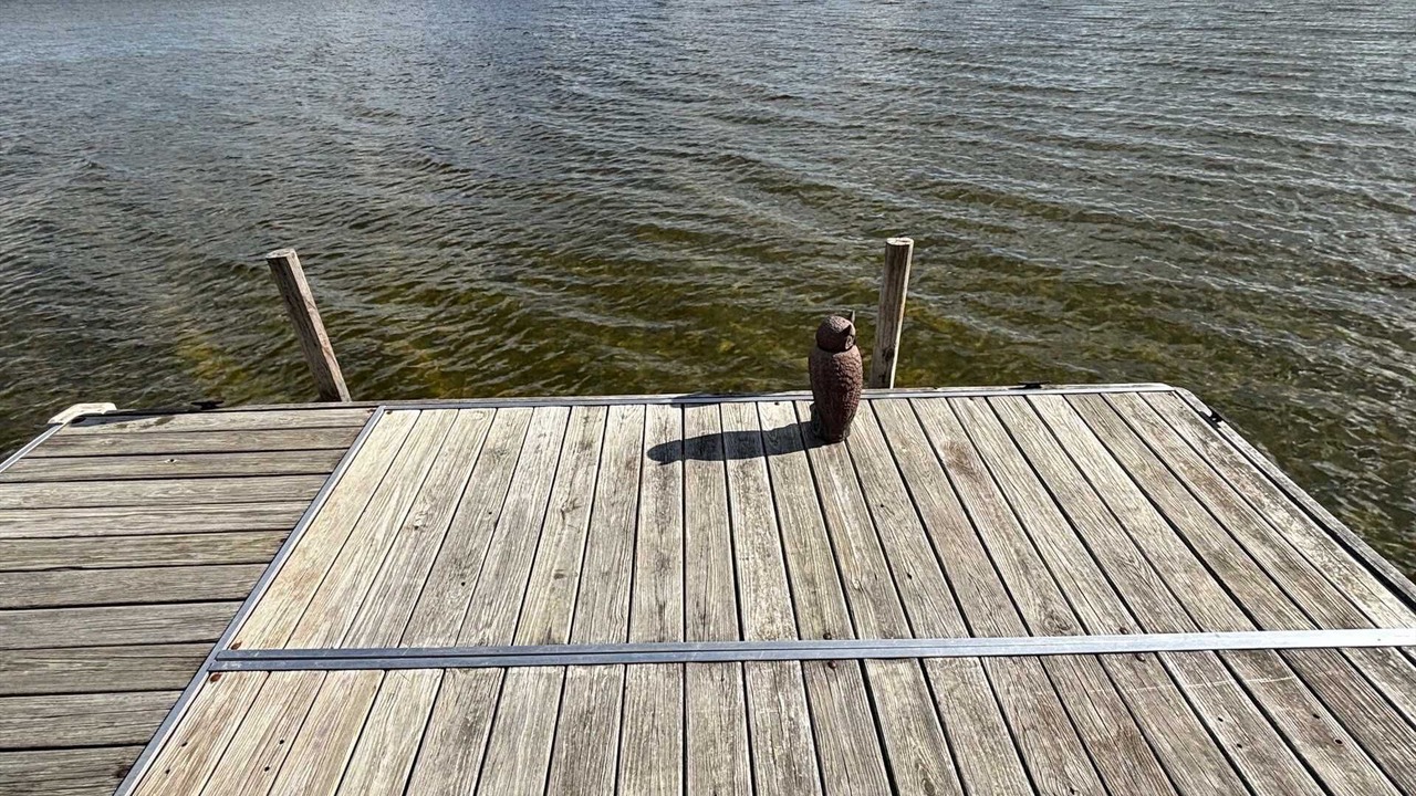 Photo of Outdoor in Cheboygan