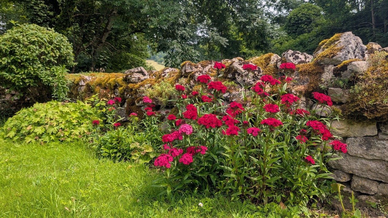 Photo of Others in Langres