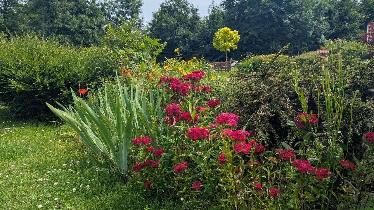 Photo of Outdoor in Langres