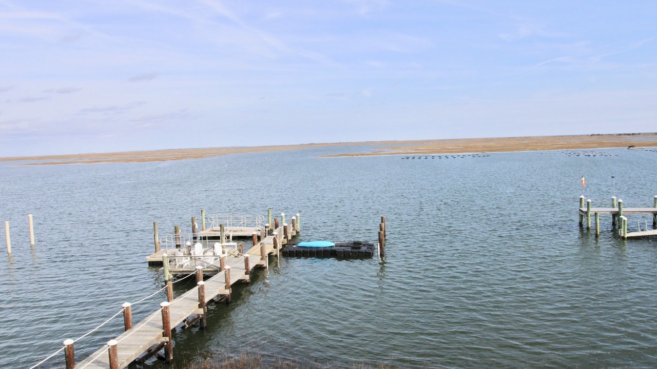 Photo of Others in Brigantine