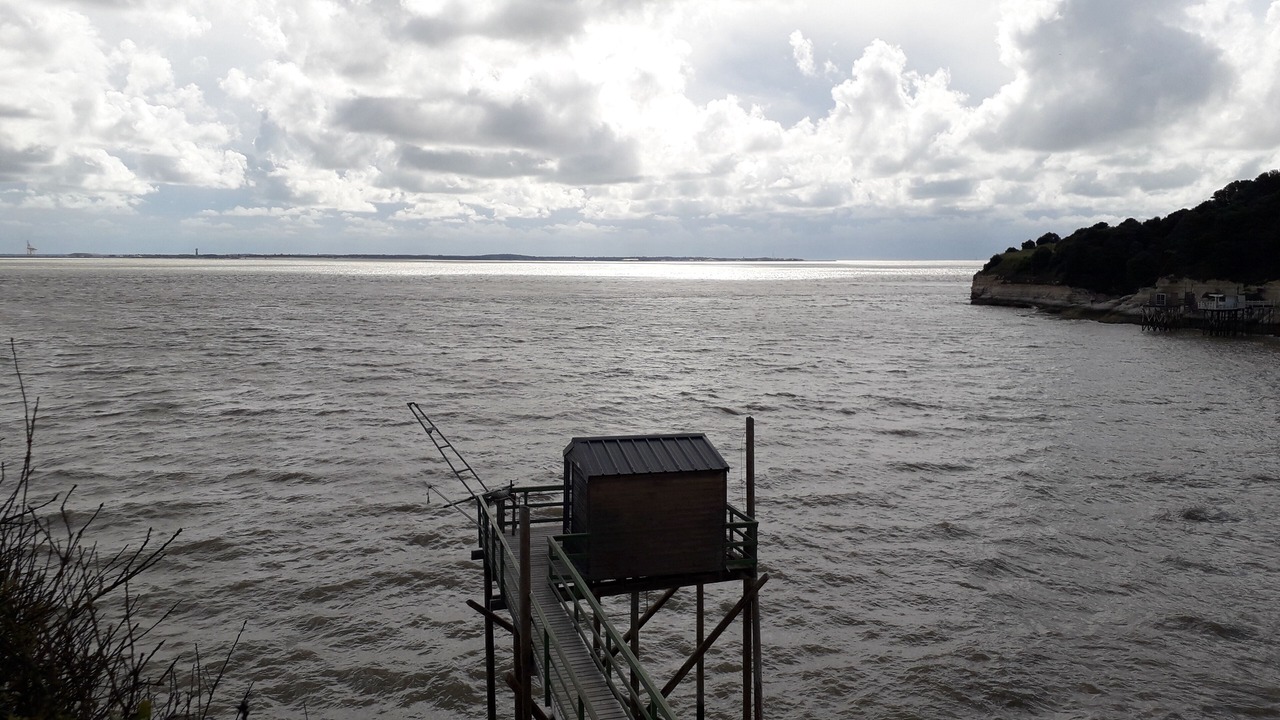 Photo of Outdoor in Semussac