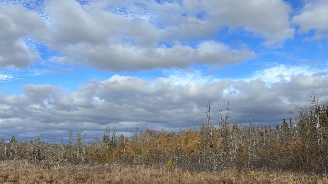 Photo of Outdoor in Ormsby