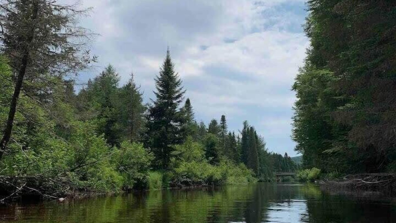 Photo of Others in Lac-aux-Sables