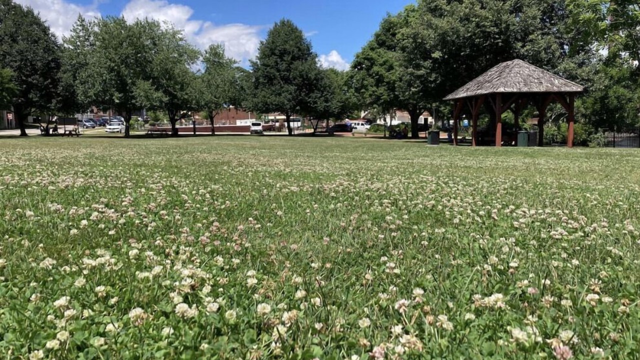 Photo of Outdoor in Dover
