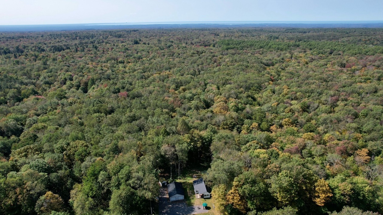 Photo of Outdoor in Maple View