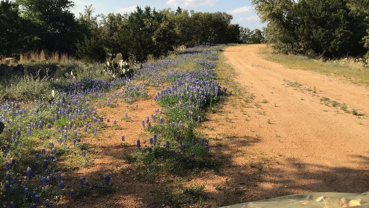 Photo of Others in Burnet