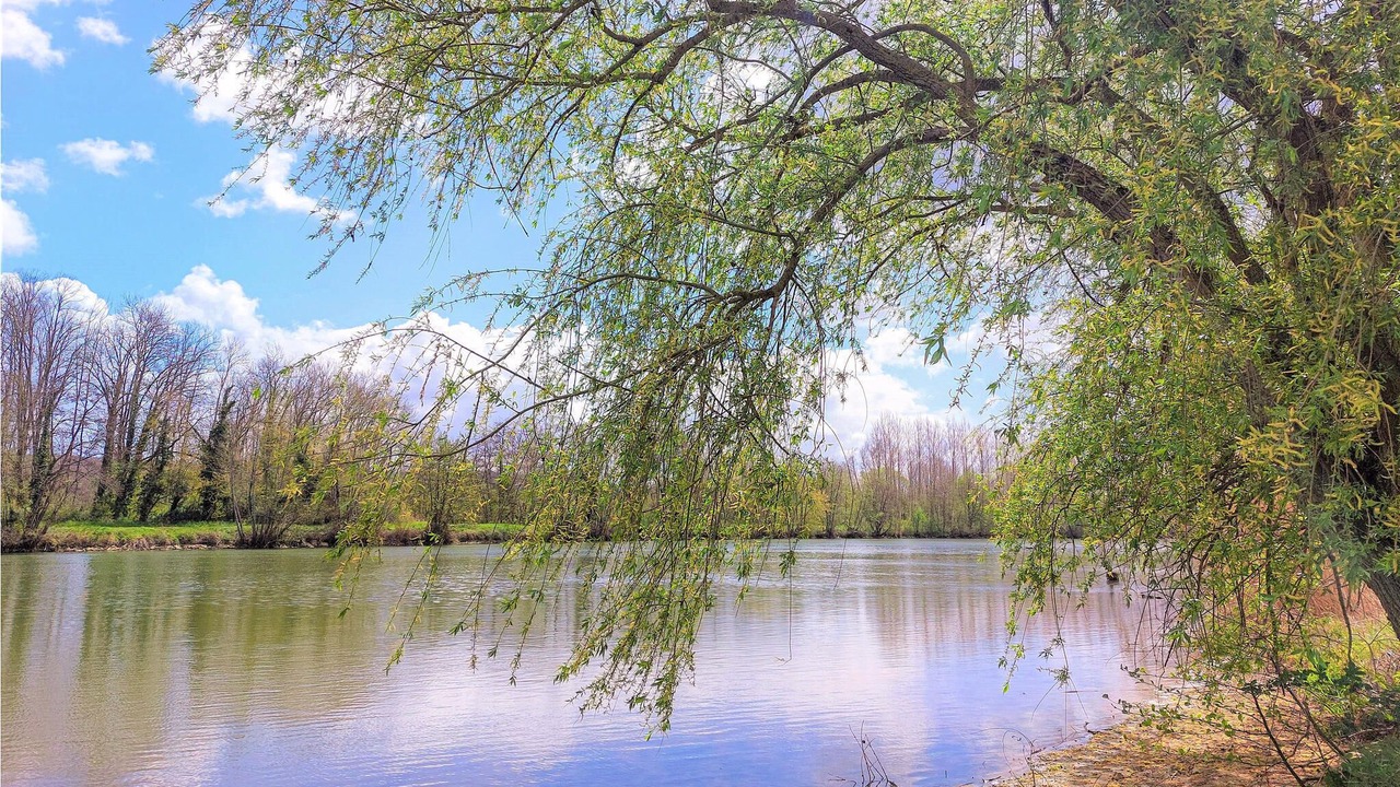 Photo of Others in Etigny