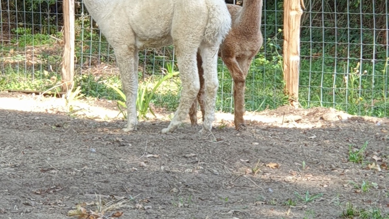 Photo of Bathroom in Vertheuil