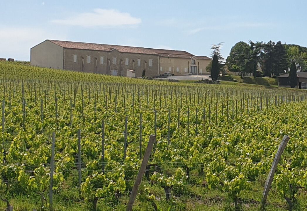 Photo of Others in Vertheuil