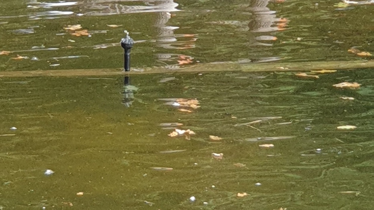 Photo of Others in Vertheuil