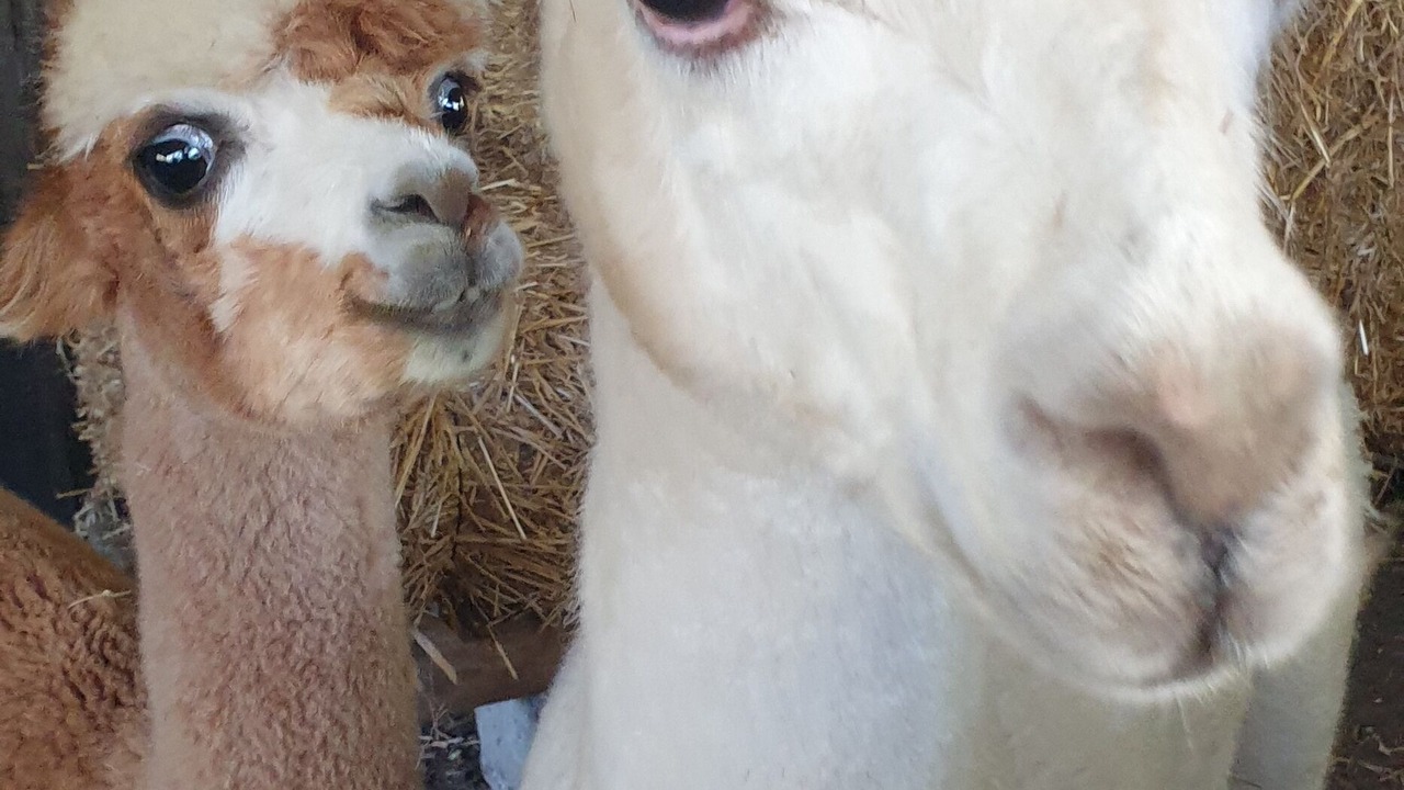 Photo of Others in Vertheuil