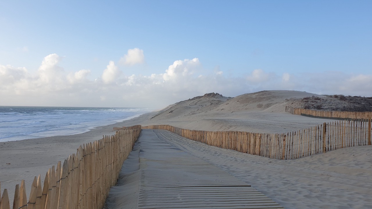 Photo of Others in Vertheuil