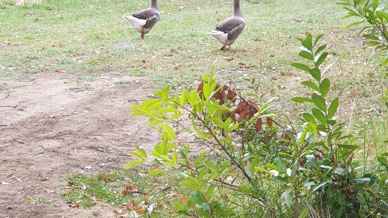 Photo of Outdoor in Vertheuil