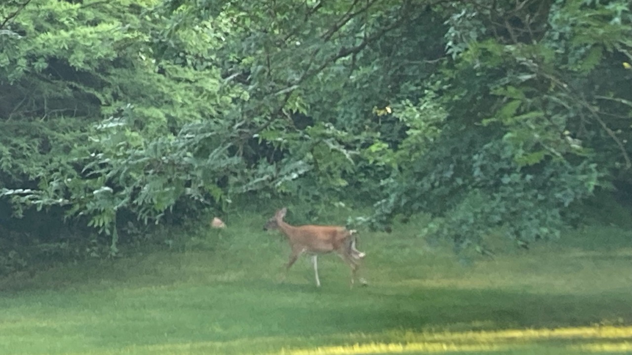 Photo of Others in Saint Marys  Saint Joseph County