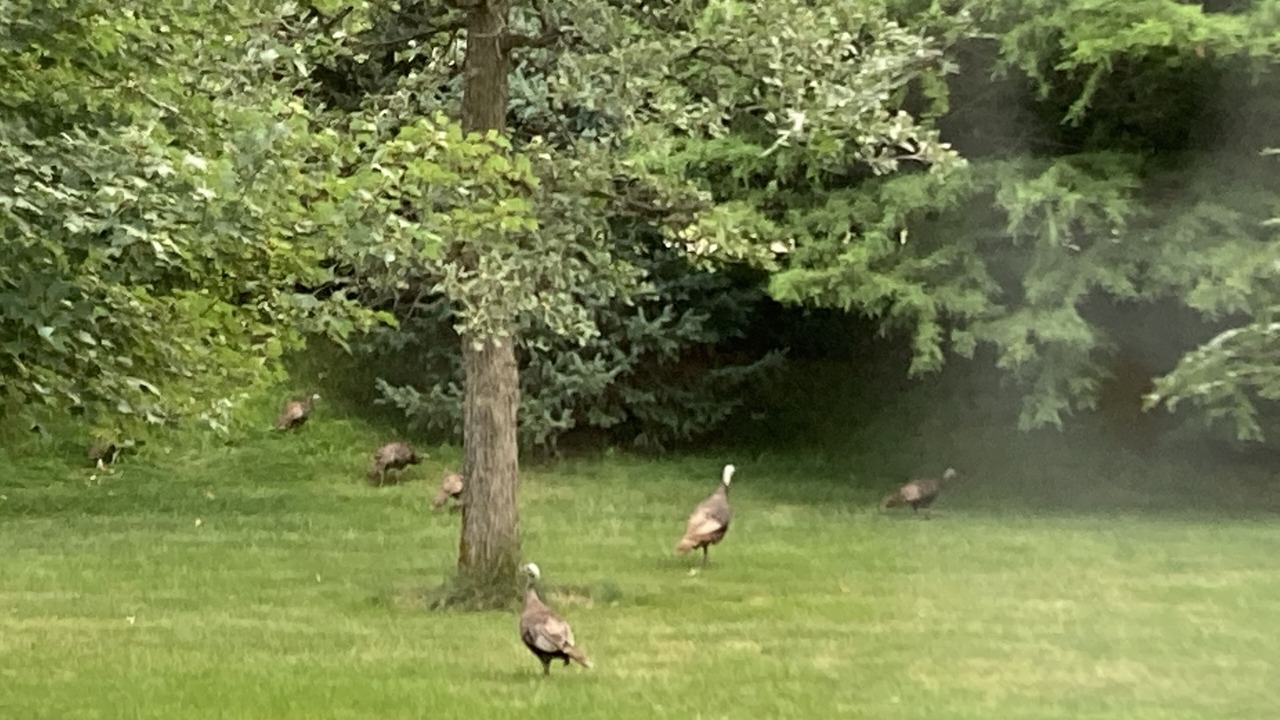 Photo of Others in Saint Marys  Saint Joseph County