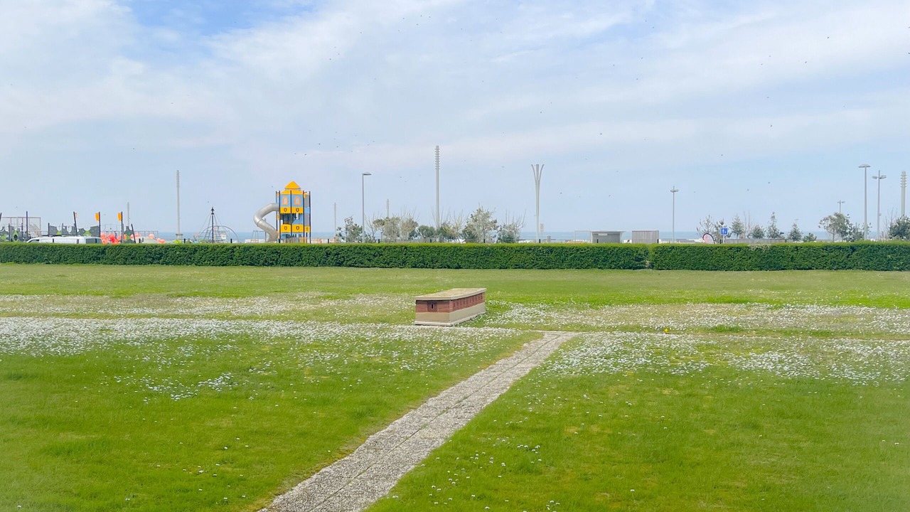 Photo of Outdoor in Port