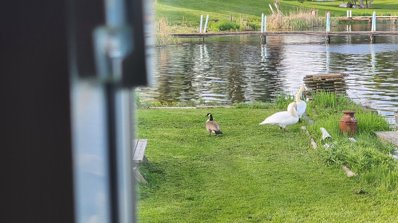 Photo of Others in Kent