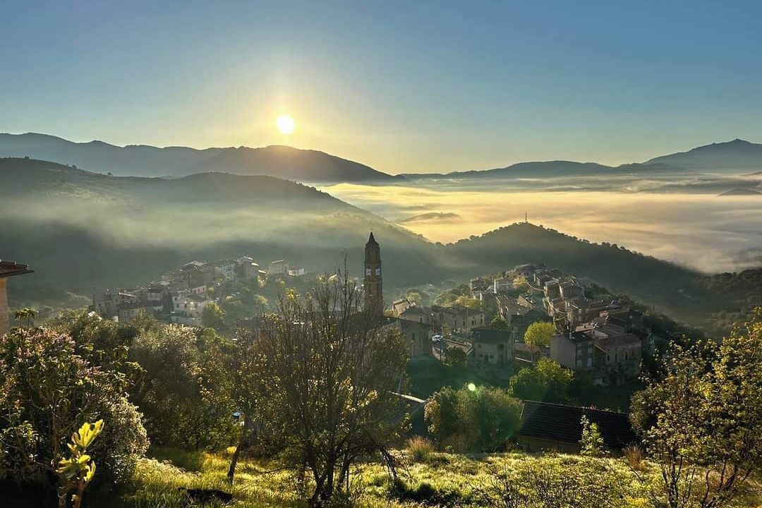 Photo of Others in Moltifao