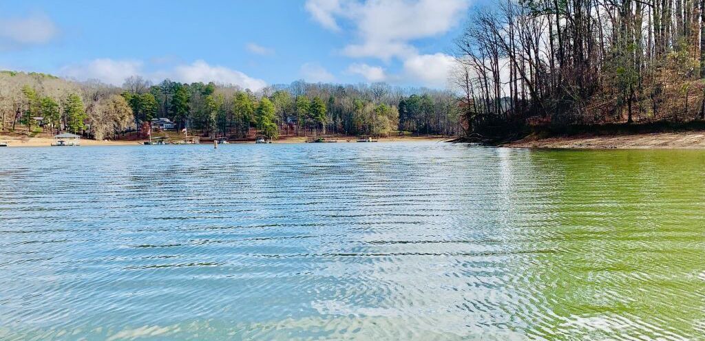Photo of Outdoor in Townville