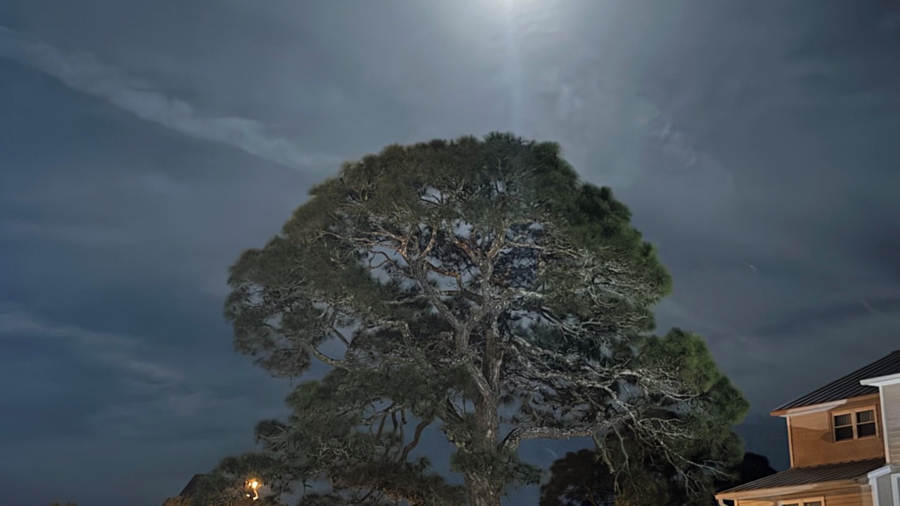 Photo of Outdoor in Panacea