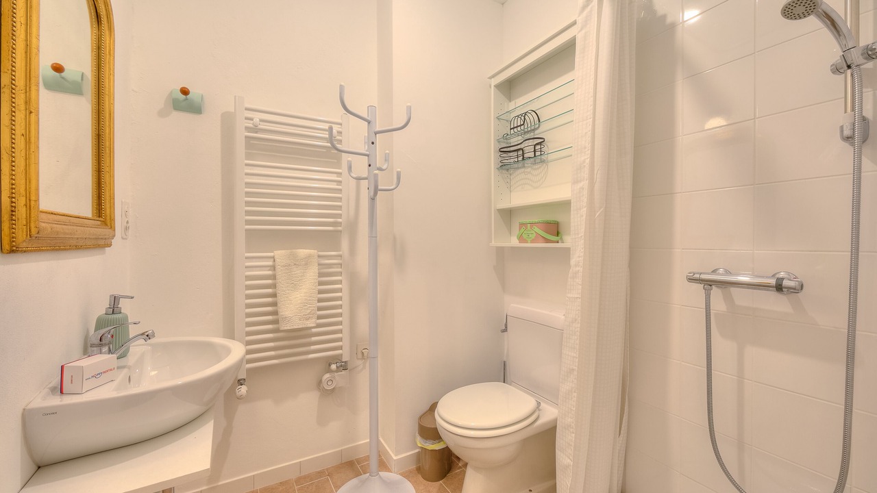 Photo of Bathroom in Sagno
