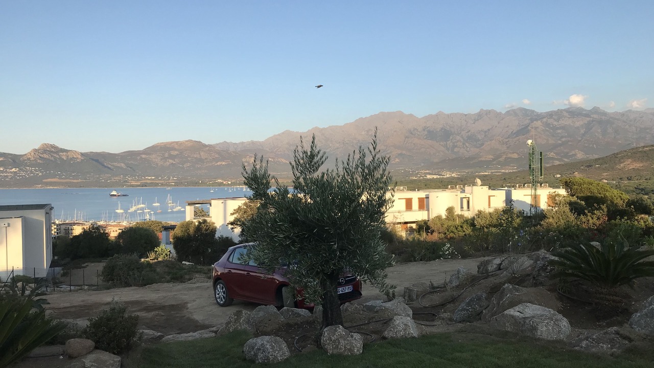 Photo of Outdoor in Calvi