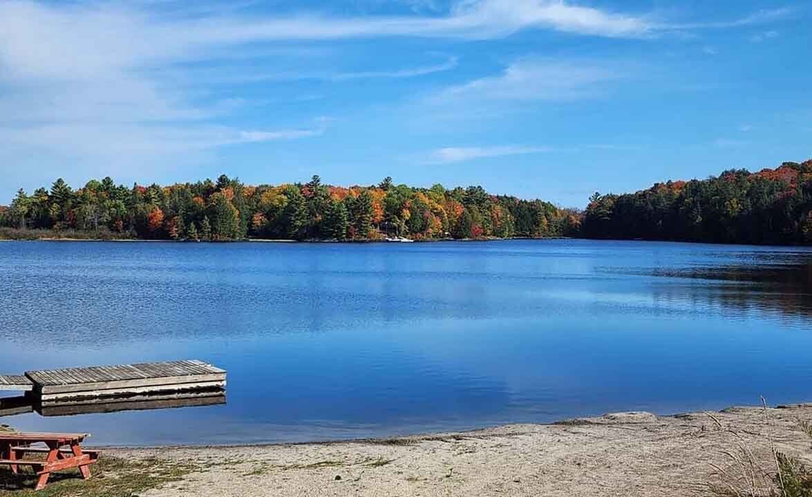 Photo of Others in McKellar