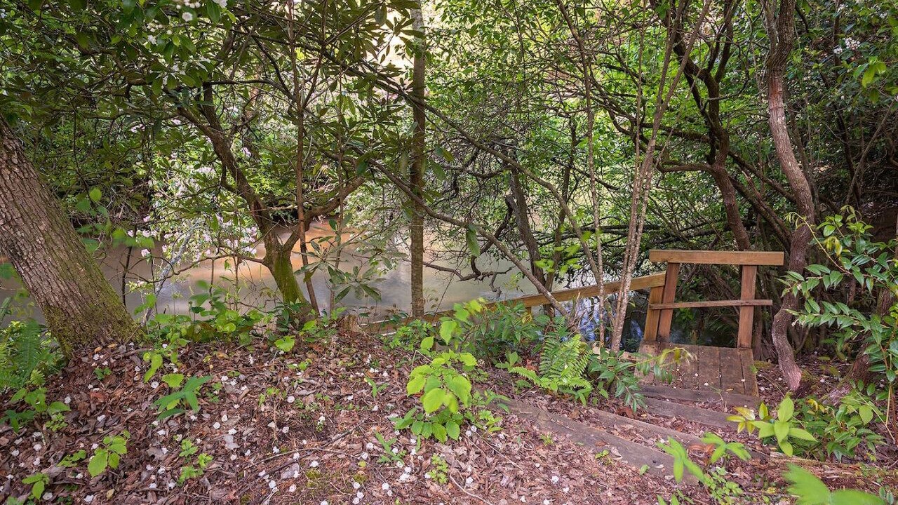 Photo of Outdoor in Mountain Rest