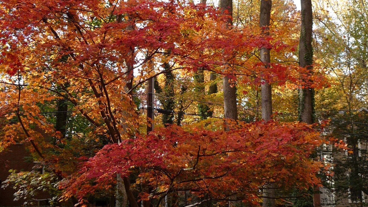 Photo of Others in Epping Forest