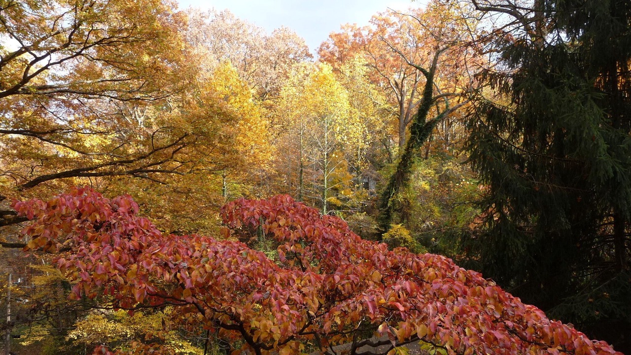 Photo of Others in Epping Forest