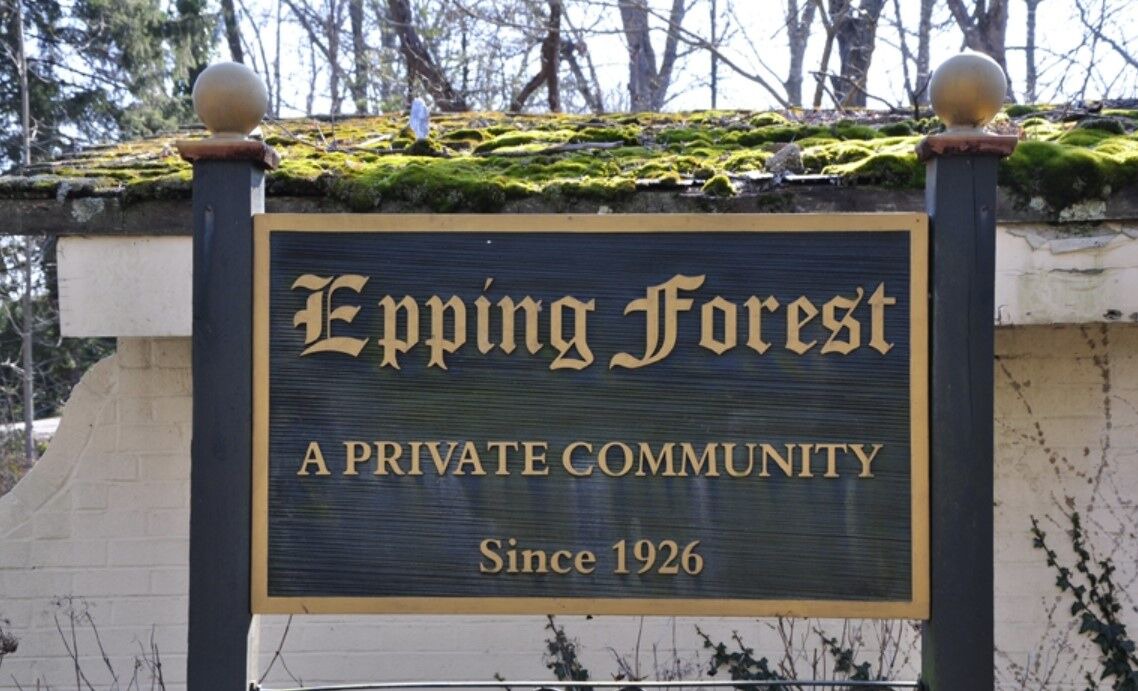 Photo of Outdoor in Epping Forest