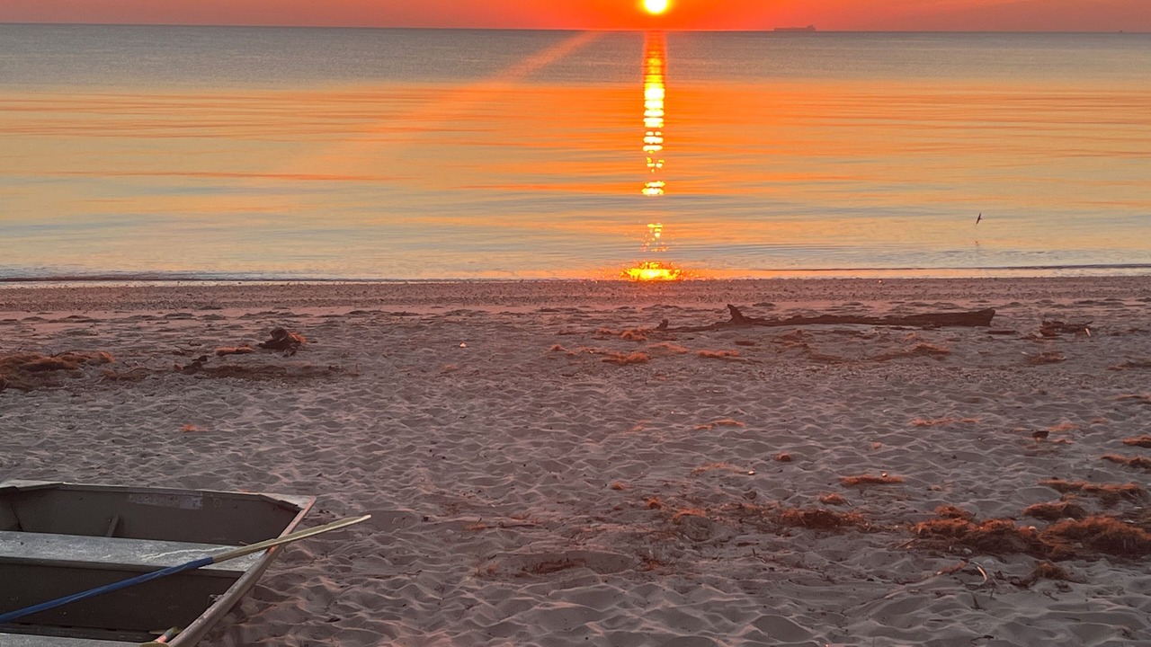 Photo of Others in Slaughter Beach