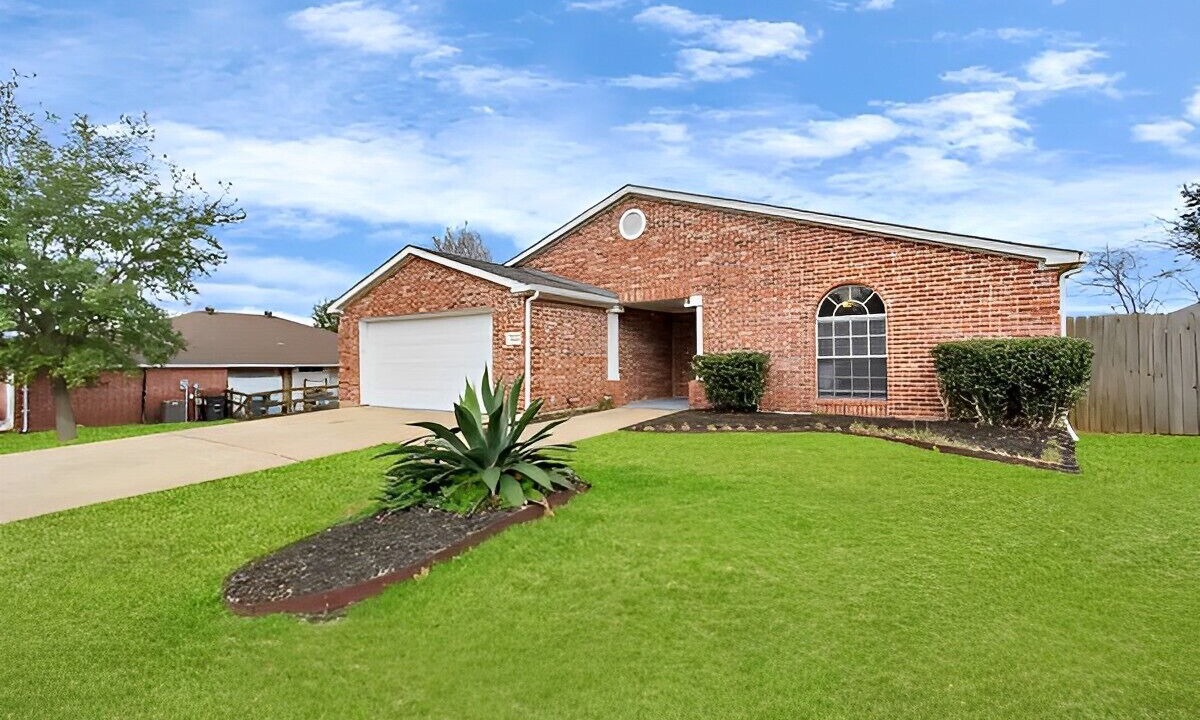 Photo of Outdoor in Willis