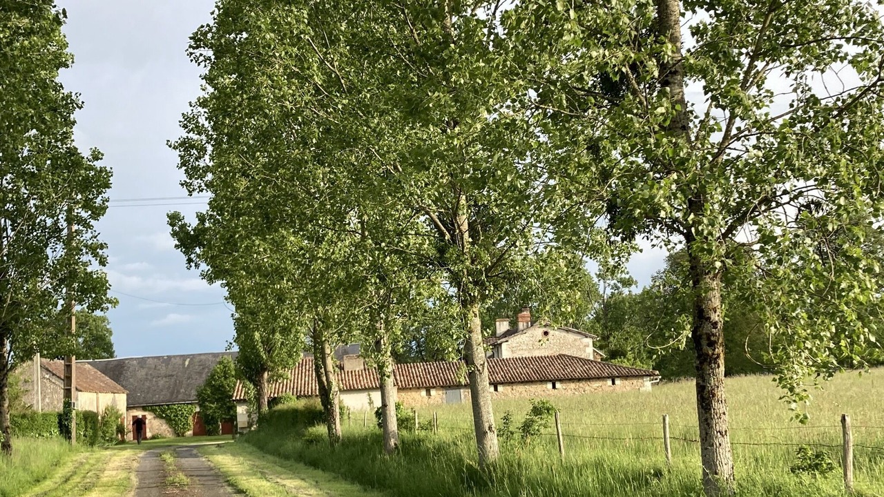 Photo of Outdoor in La Bussiere