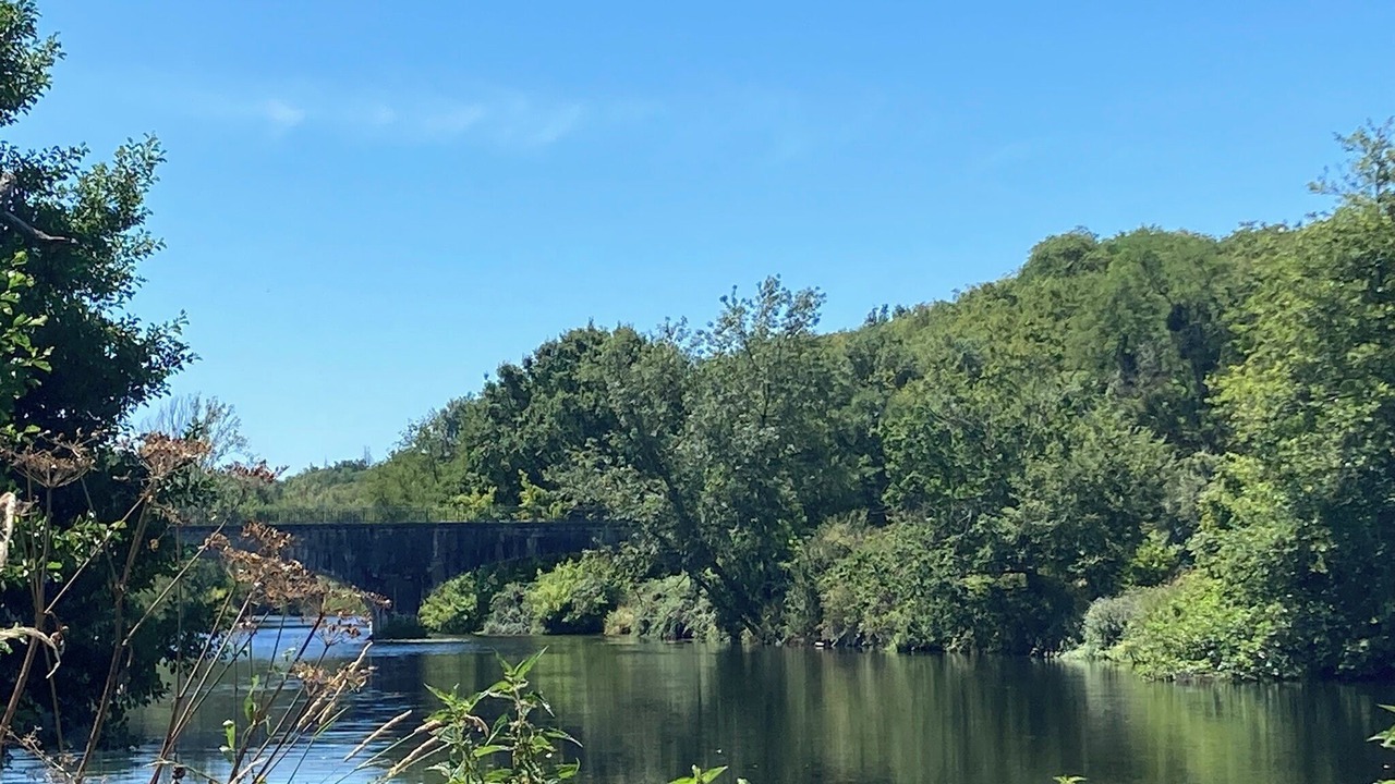 Photo of Others in La Bussiere