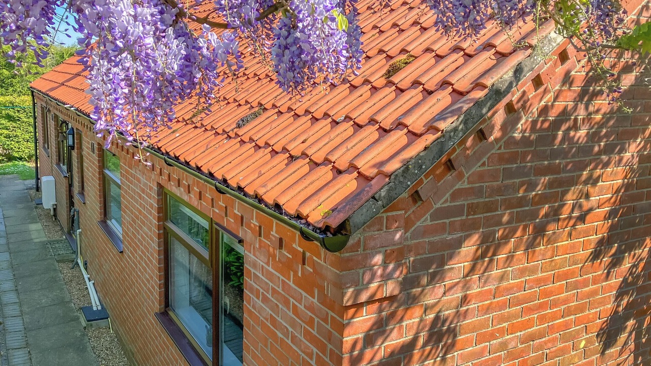 Photo of Outdoor in Hockering