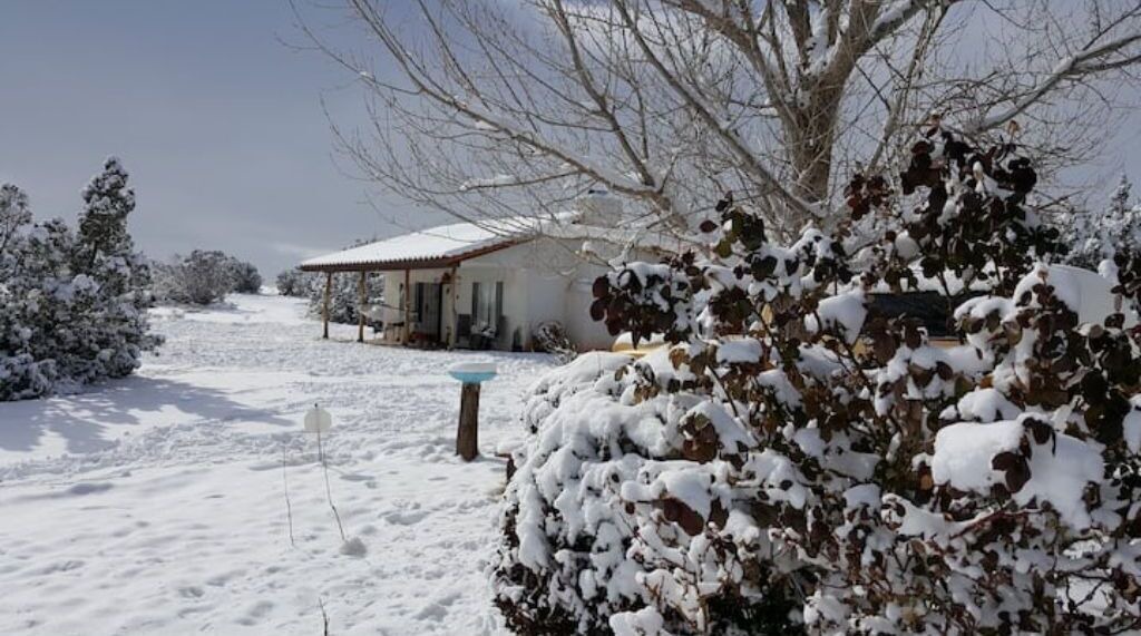 Photo of Others in Concho