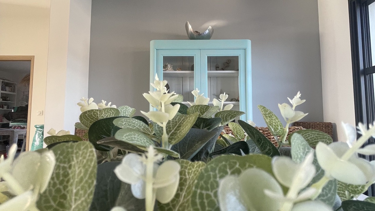 Photo of Others in Saint-Siffret