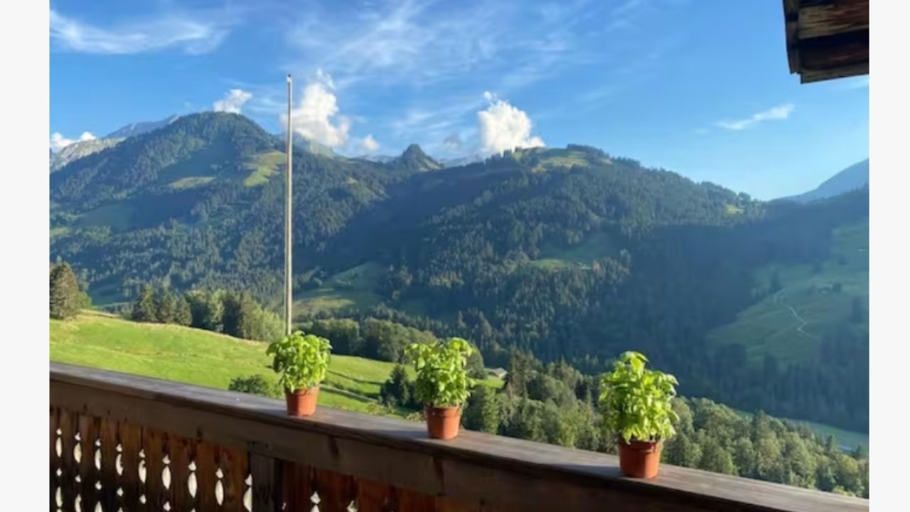 Photo of Outdoor in Saanen