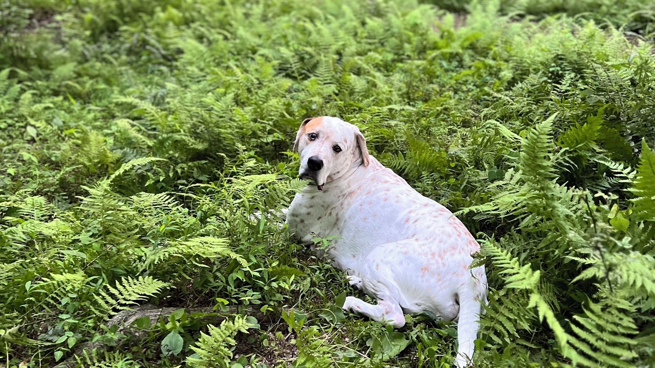 Photo of Others in Eagle Mountain