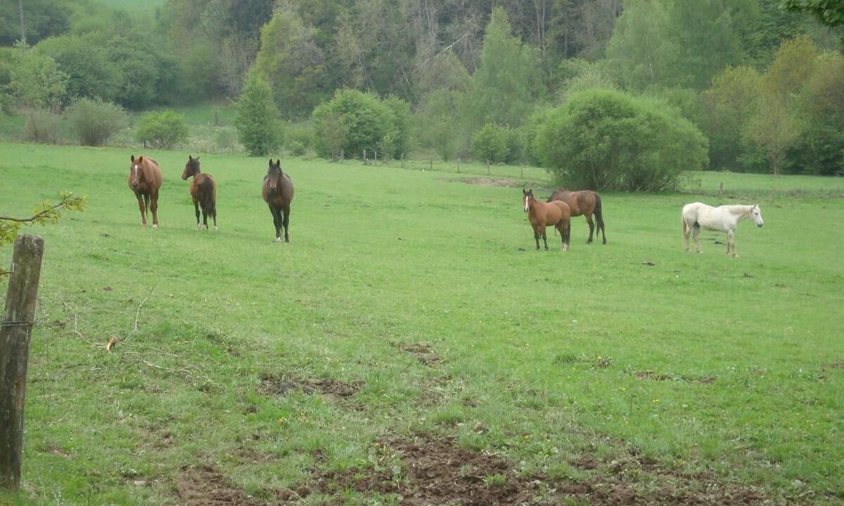 Photo of Others in Paroisse Saint-Walburge